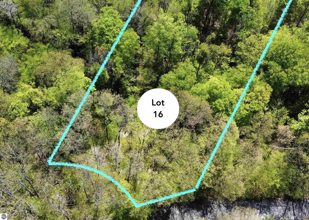 Lot 16 S Club Drive, Cedar