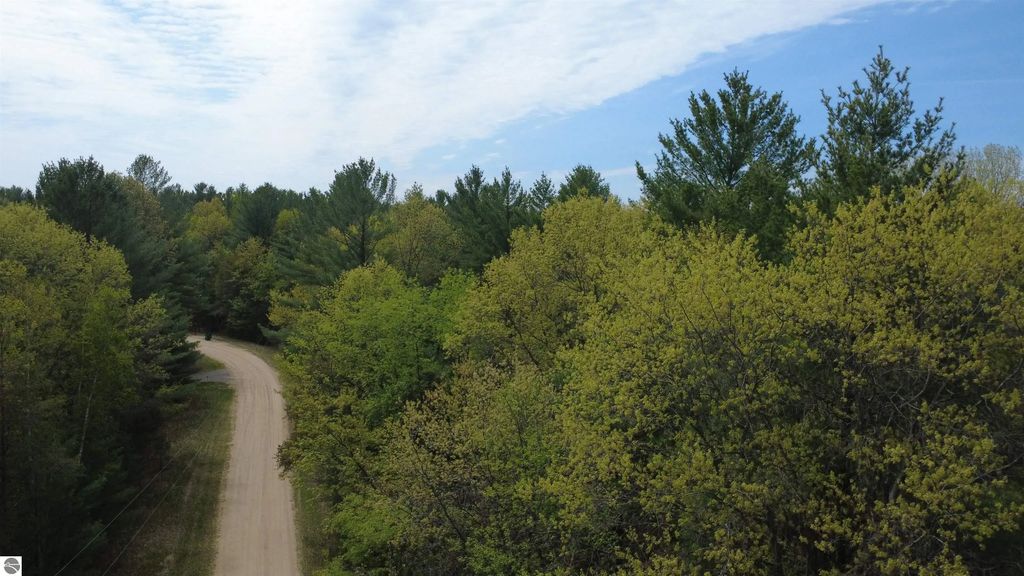 X Hillside Drive, Alger
