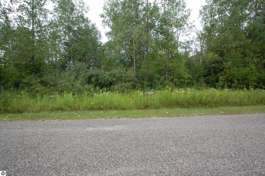 Crawford Street, West Branch