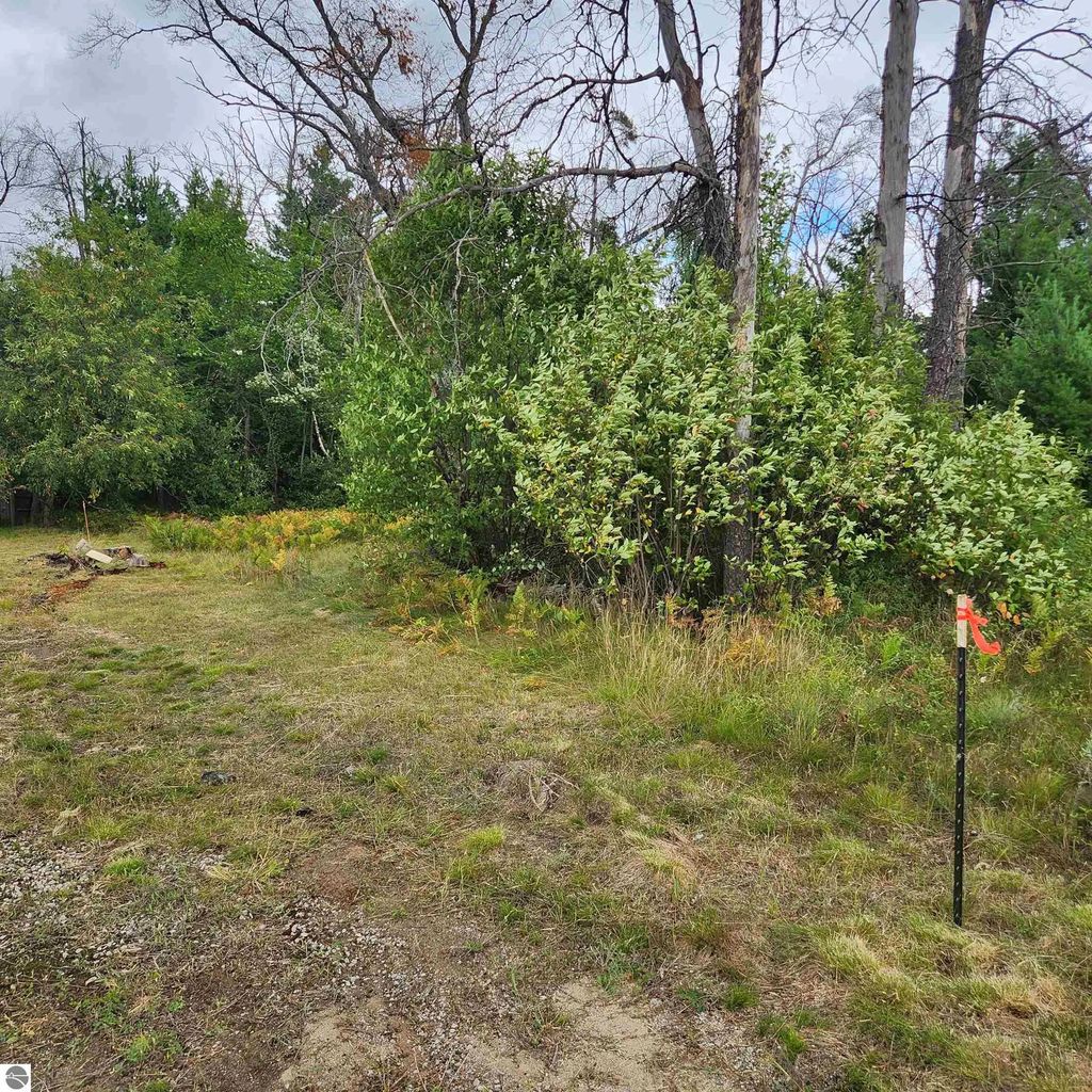 6324 W Pine Point Road, Grayling
