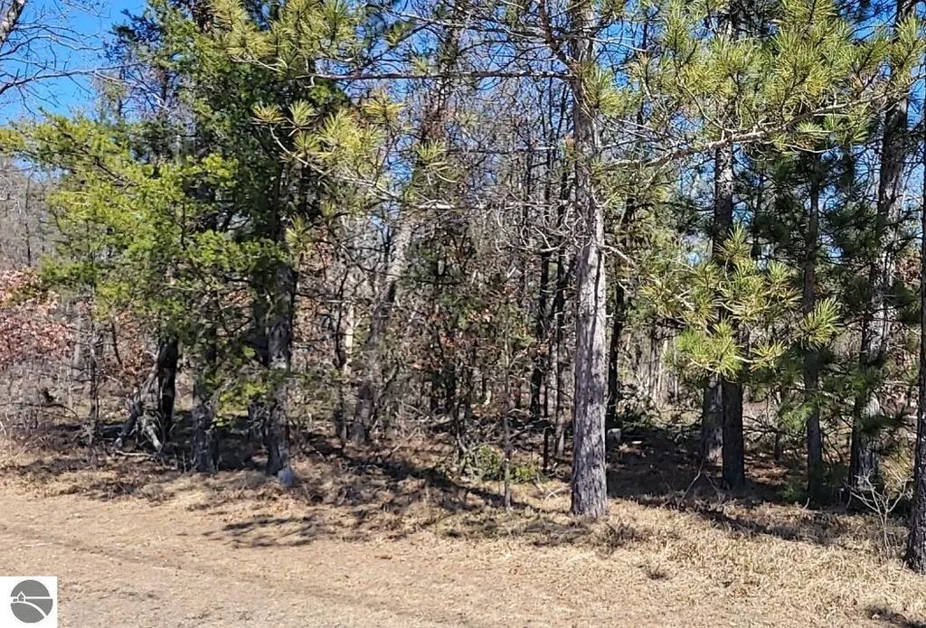 Site 6 Lumberjack Court, Grayling