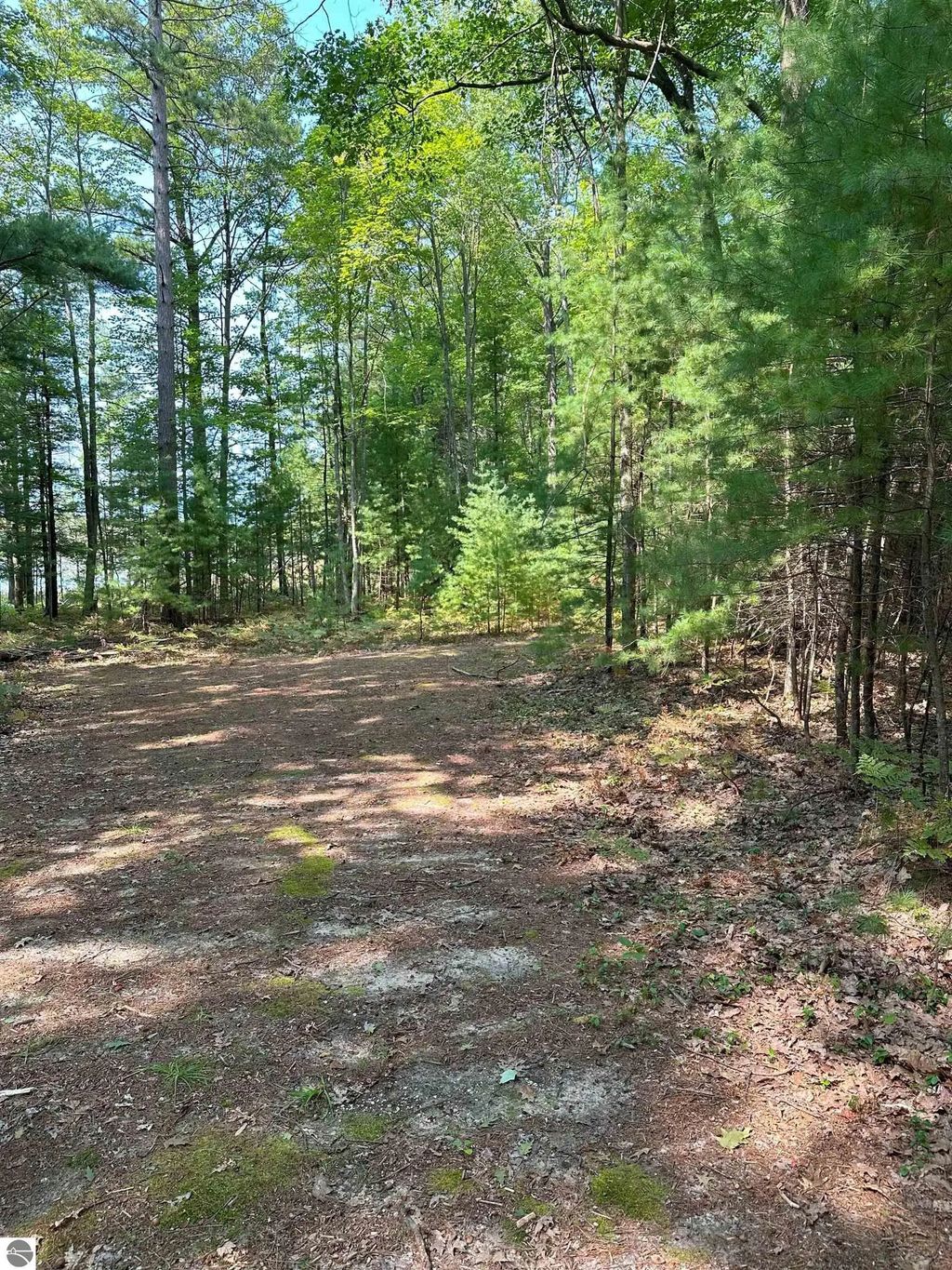 592 Se Blue Heron Drive, Kalkaska