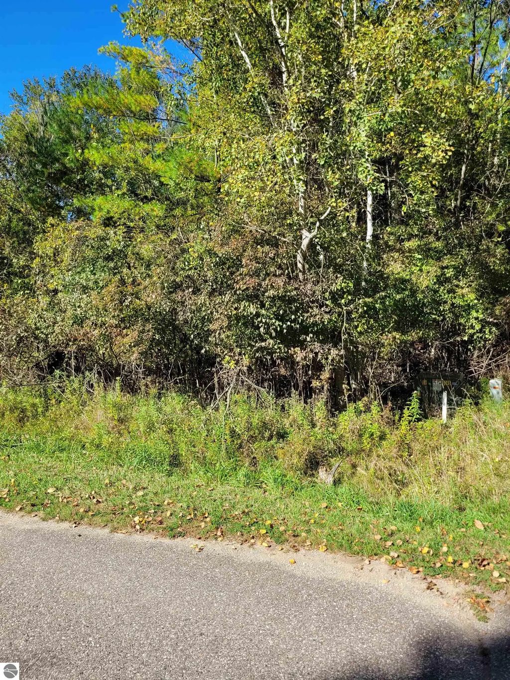 Tbd Lot 58 W Berkshire Drive, Gladwin