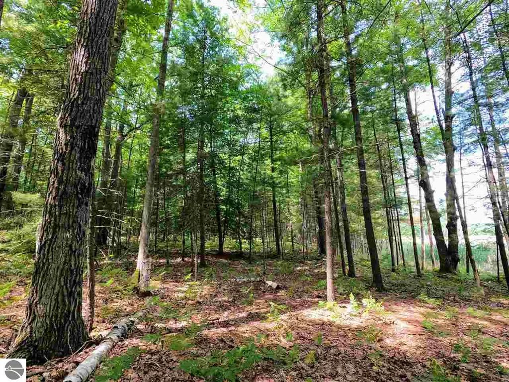 864 Se Blue Heron Drive, Kalkaska