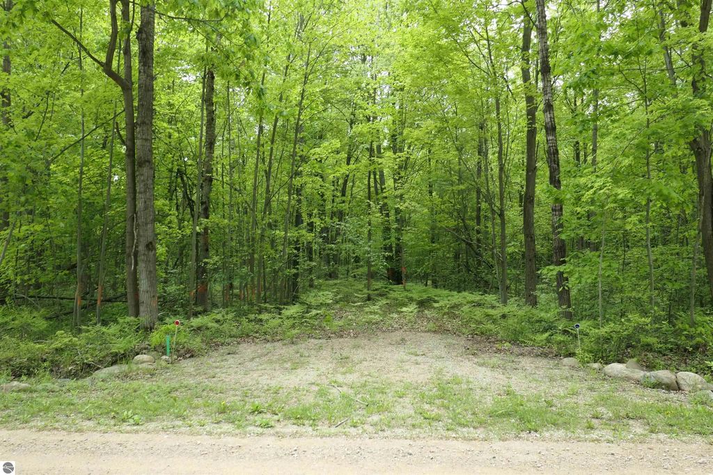Tbd S Lakeside Trail, Shepherd
