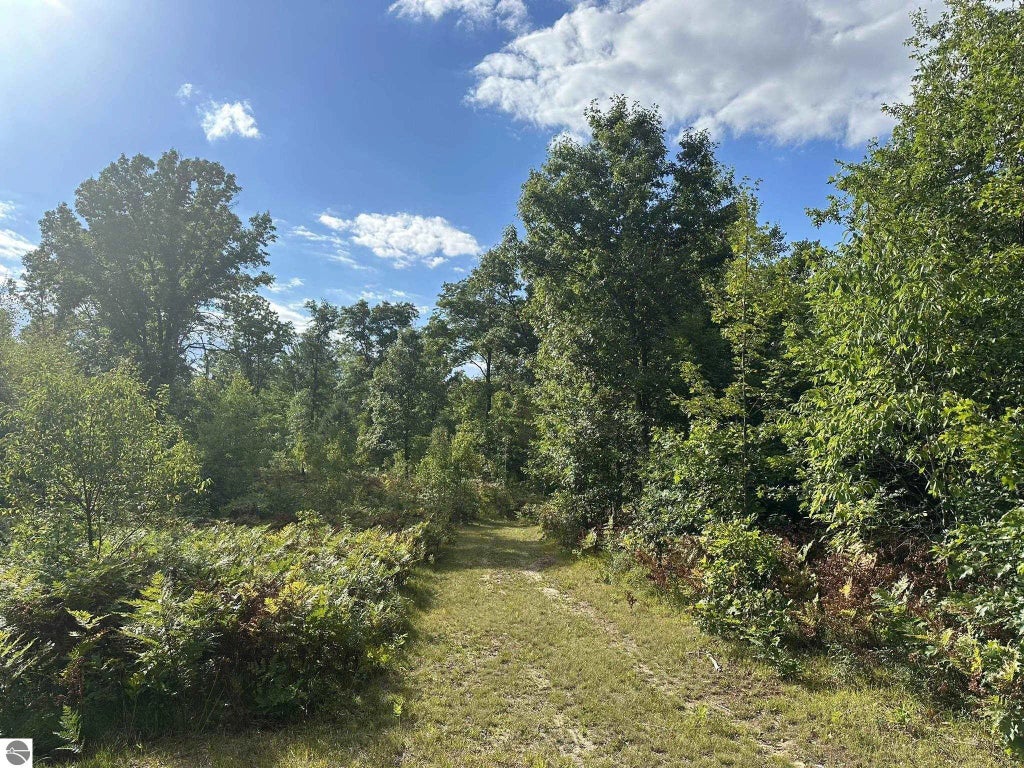 5304 S Brown Road, Cadillac