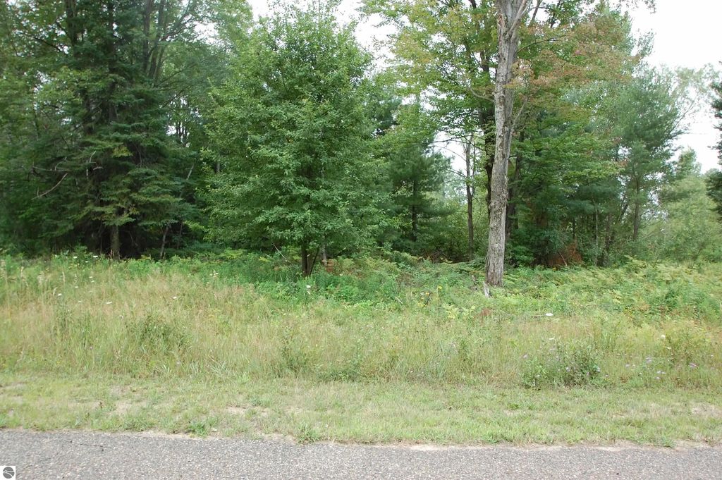 Arthur Court, West Branch