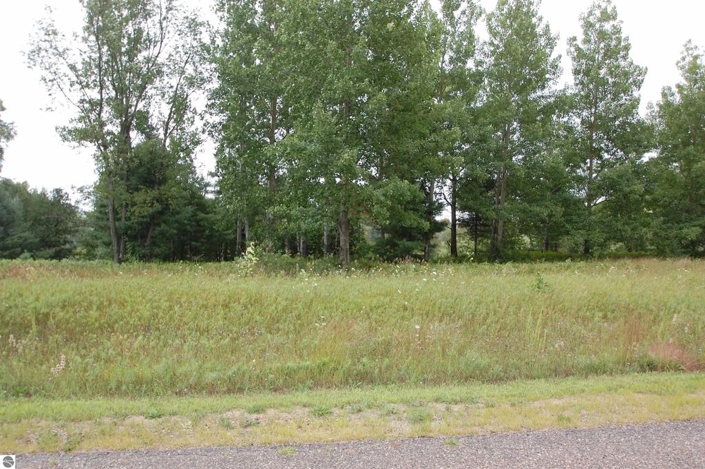 Arthur Court, West Branch