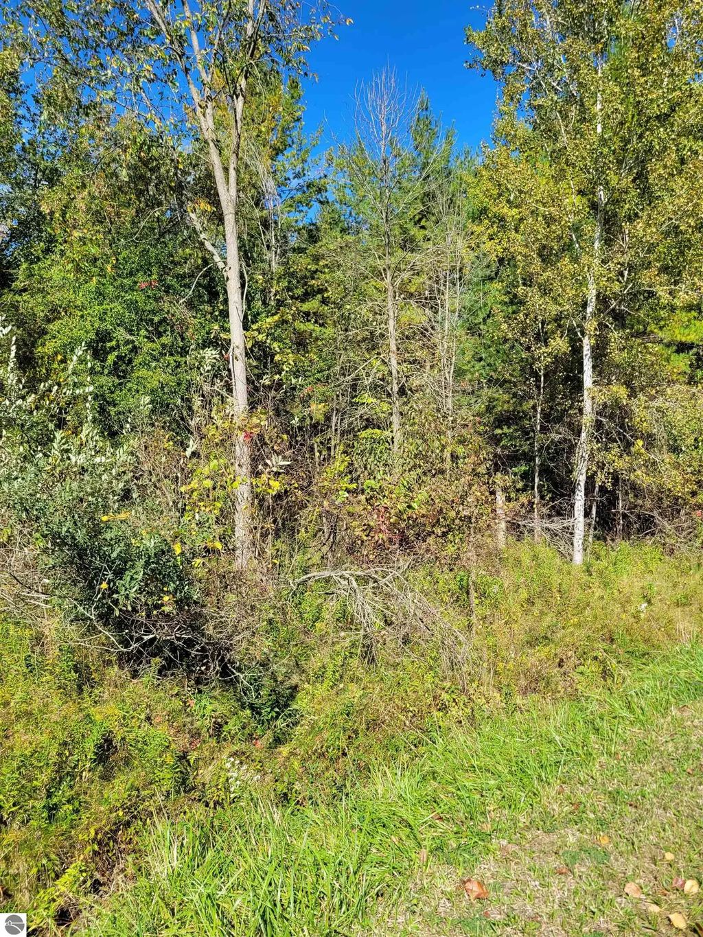 Tbd Lot 59 W Berkshire Drive, Gladwin