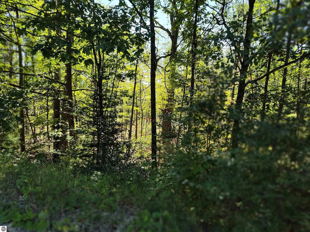 Lot 12 N Circle E, Farwell