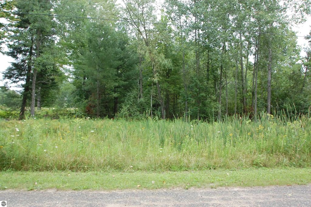 Crawford Street, West Branch