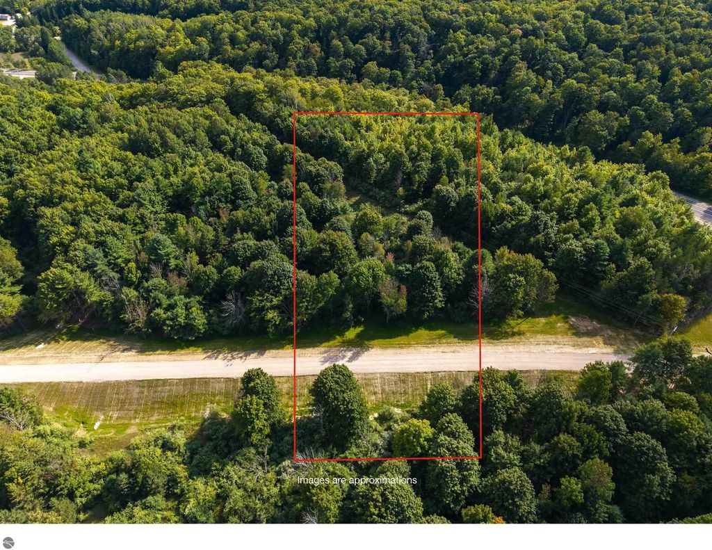 Lot #2 E Bellinger Road, Cedar
