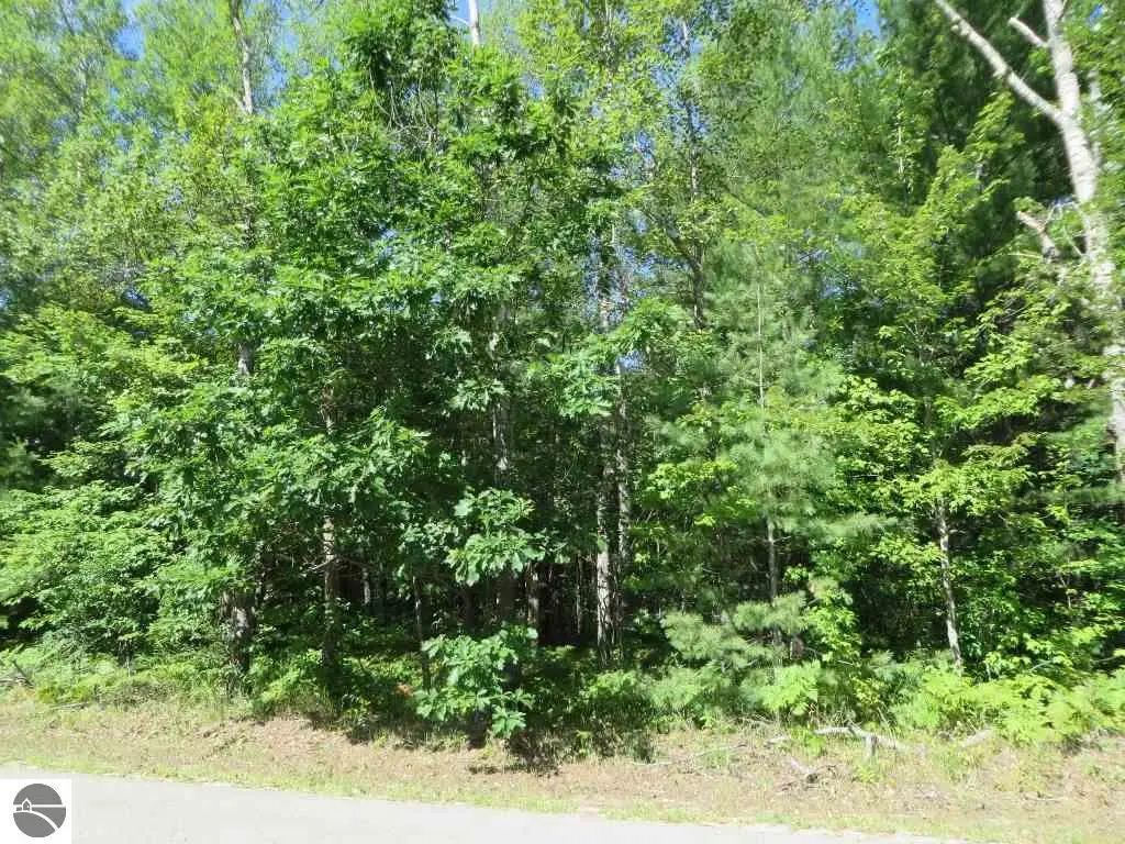 2065 E Log Lake Road, Kalkaska
