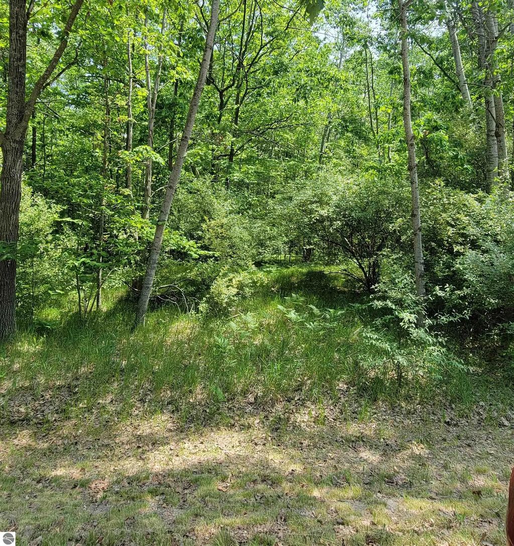 1144 Queensway Drive, Lake Isabella