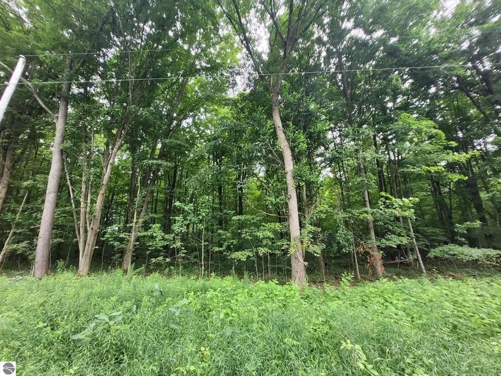 S 7 1/2 Road, Harrietta