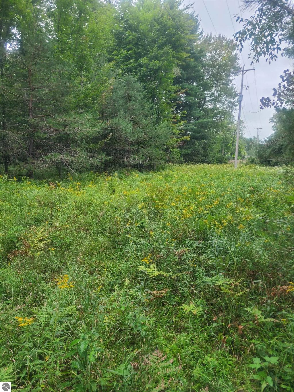 M-55, Whittemore