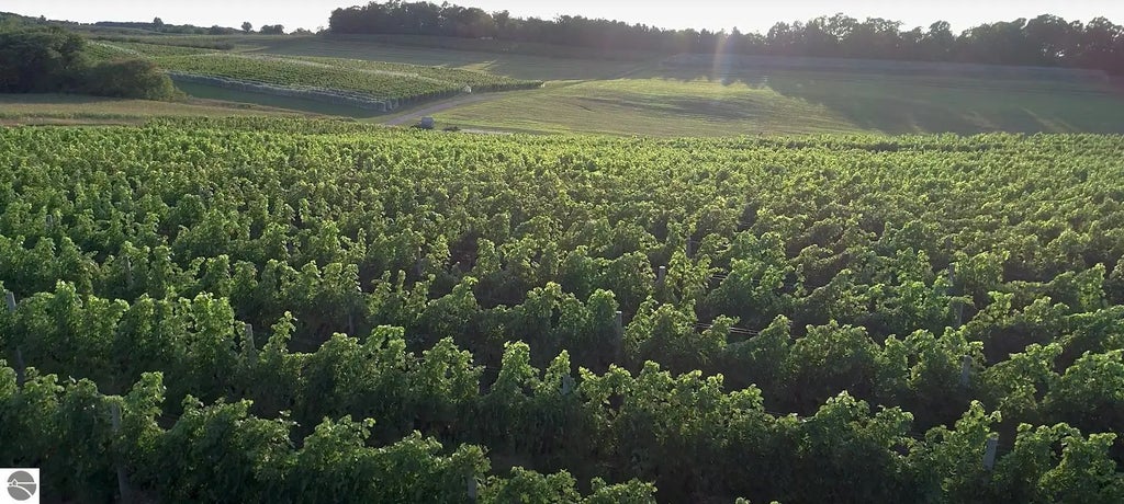 56 S French Road, Lake Leelanau