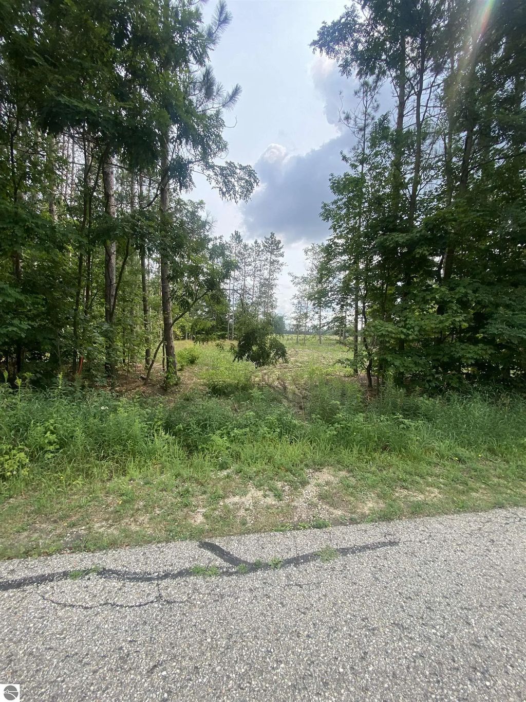 413 Maplebrooke Lane, Cadillac