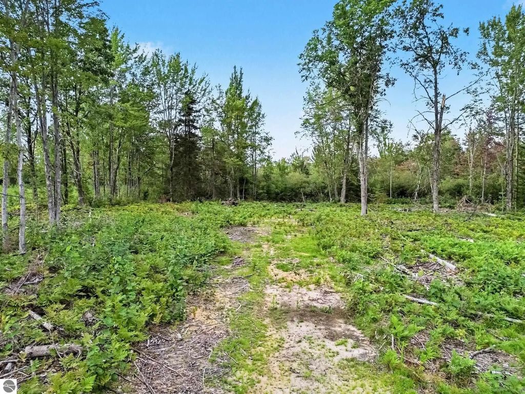 4457 E West Branch Road, Prudenville