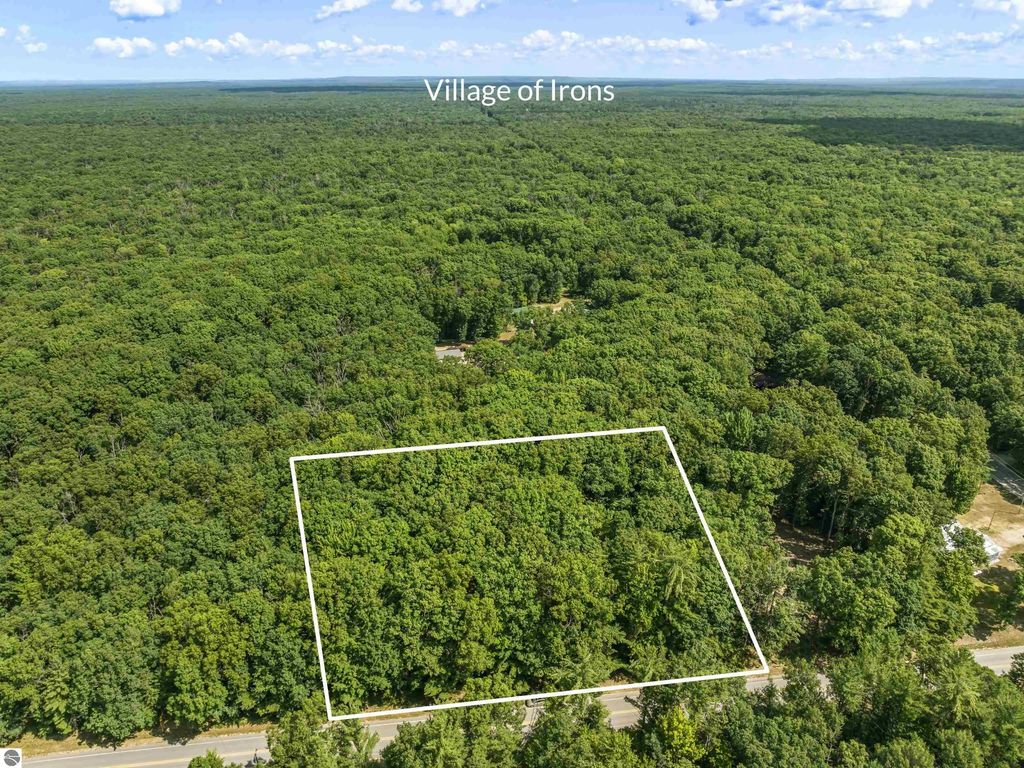 6098 W 9 Mile Road, Irons