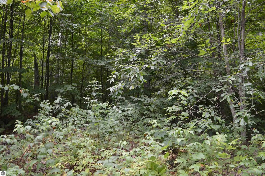 Ne Dapokie Trail, Kalkaska