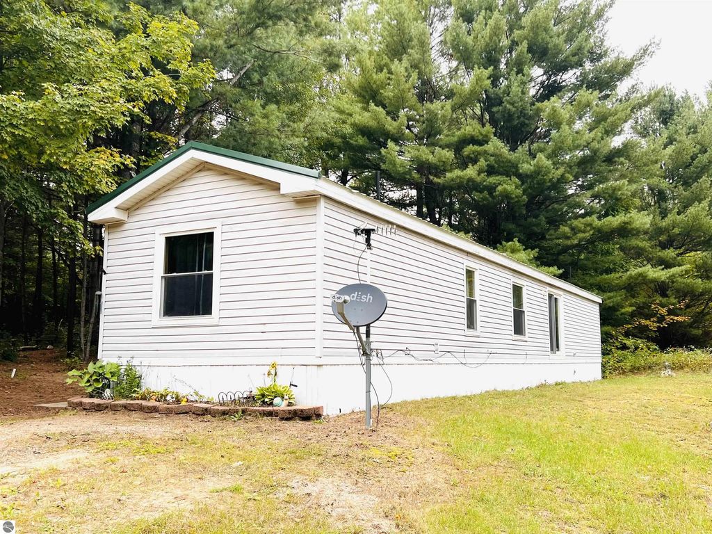 785 E 46 Road, Cadillac