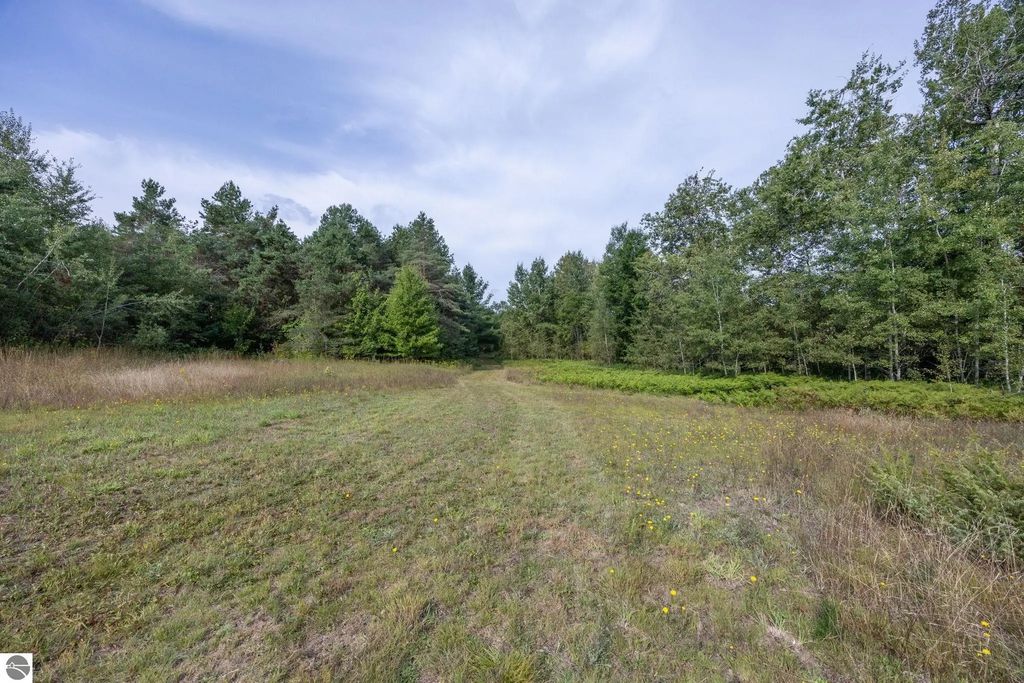 S 27 Road, Cadillac