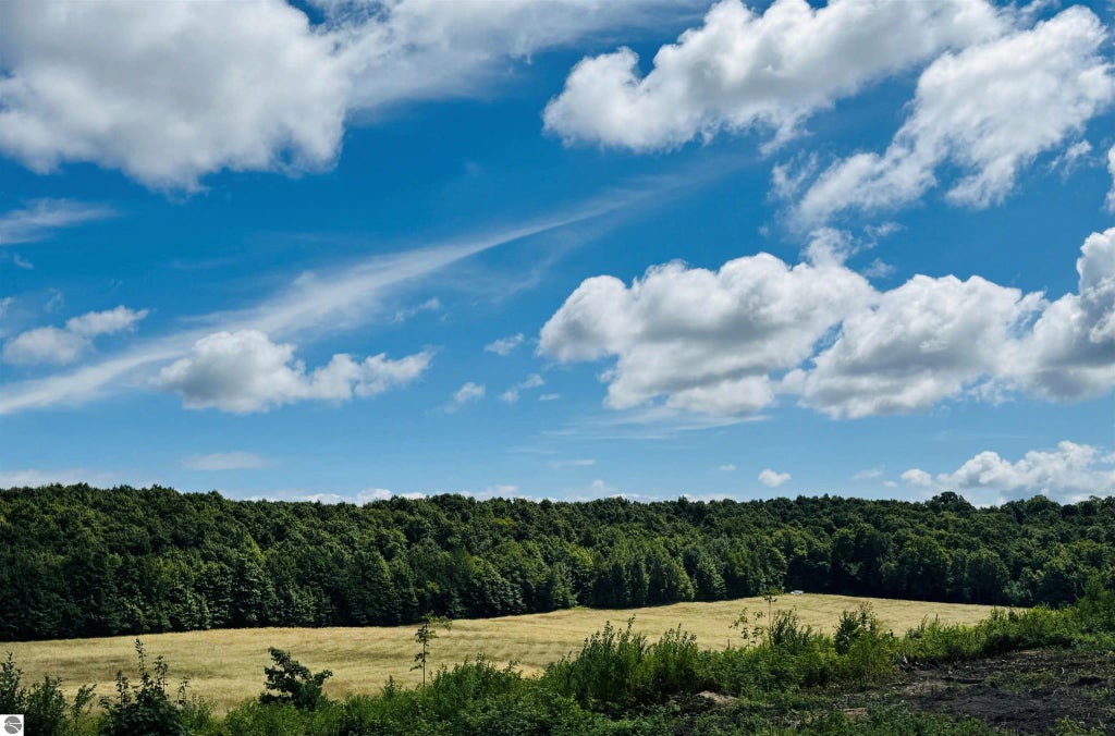 Parcel 2 E Horn Road, Lake Leelanau