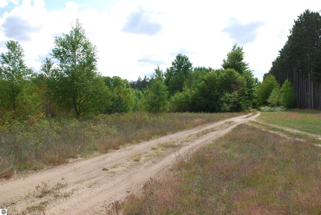 Little Lane, Kalkaska