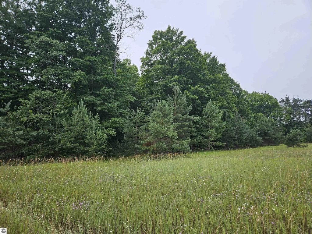 0000 V/l "d" Grass Lake Road, Kalkaska