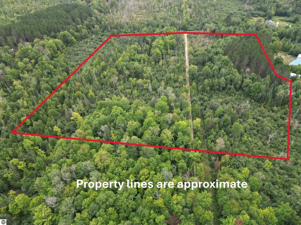 10.11 Acres Golden Road, Se, Kalkaska