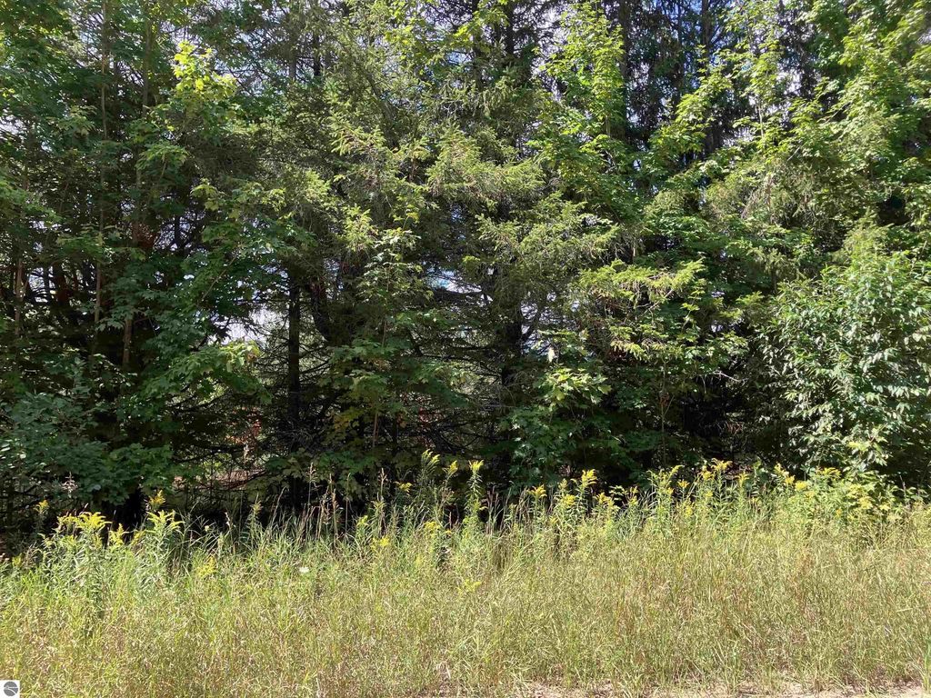 180 Flowing Well Road, Kalkaska