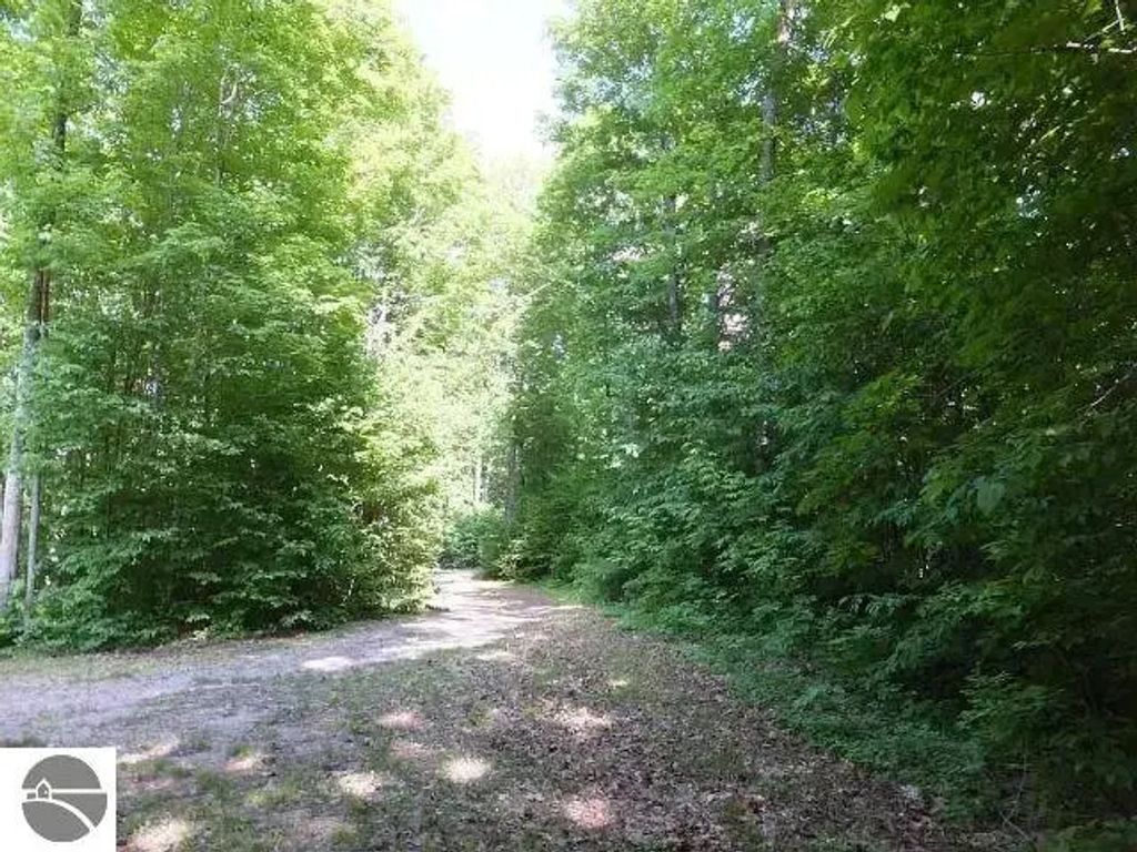 2228 Northwoods Drive, Benzonia