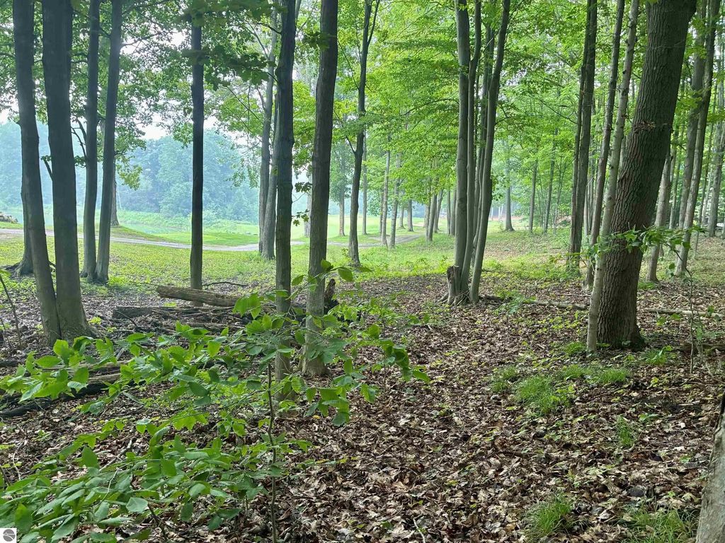 V/l 8 Forest Trail, Bellaire