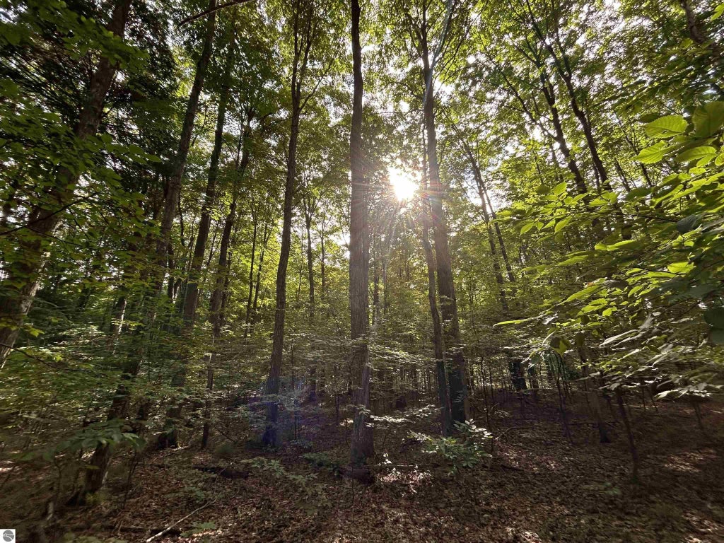 Langs Lane, Interlochen