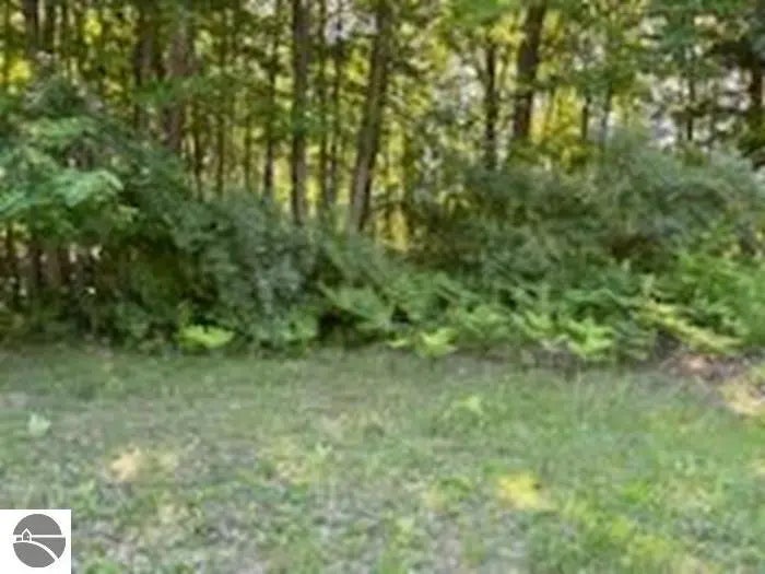 N/a Huron Woods Drive, Tawas City