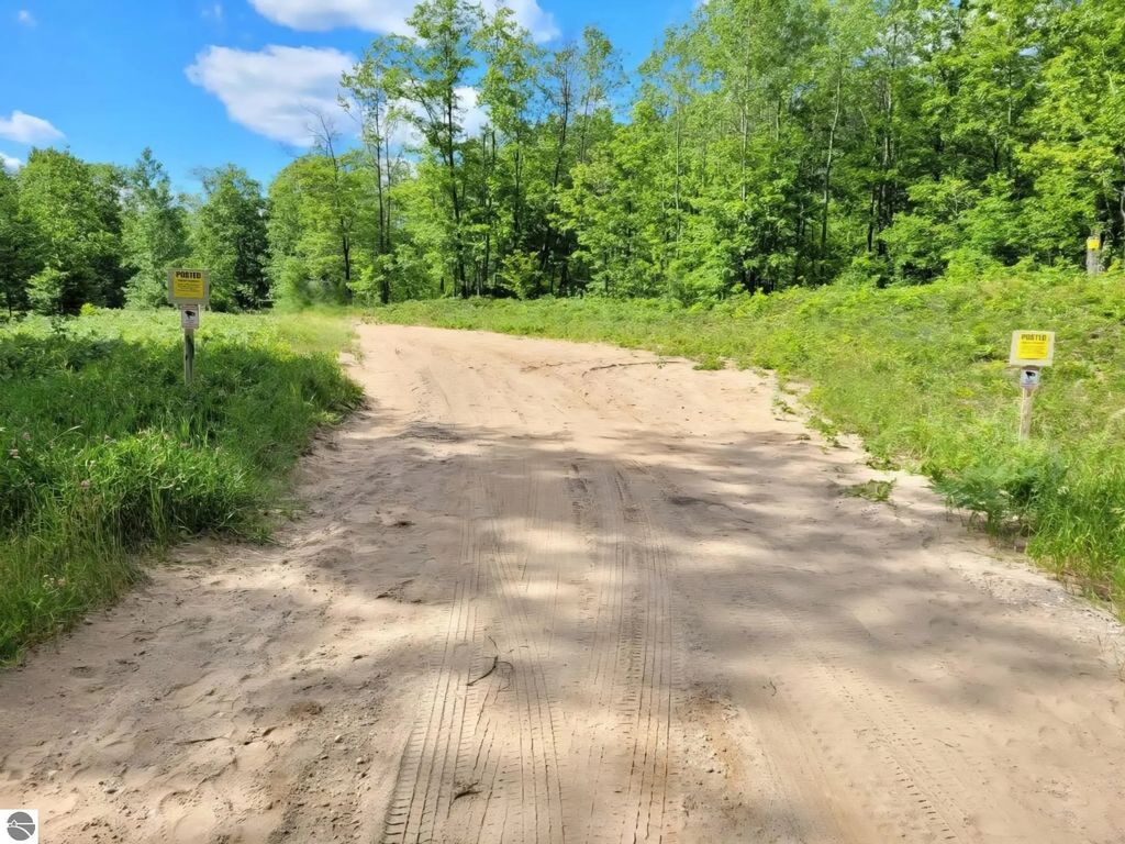 5955 S Brown Road, Cadillac