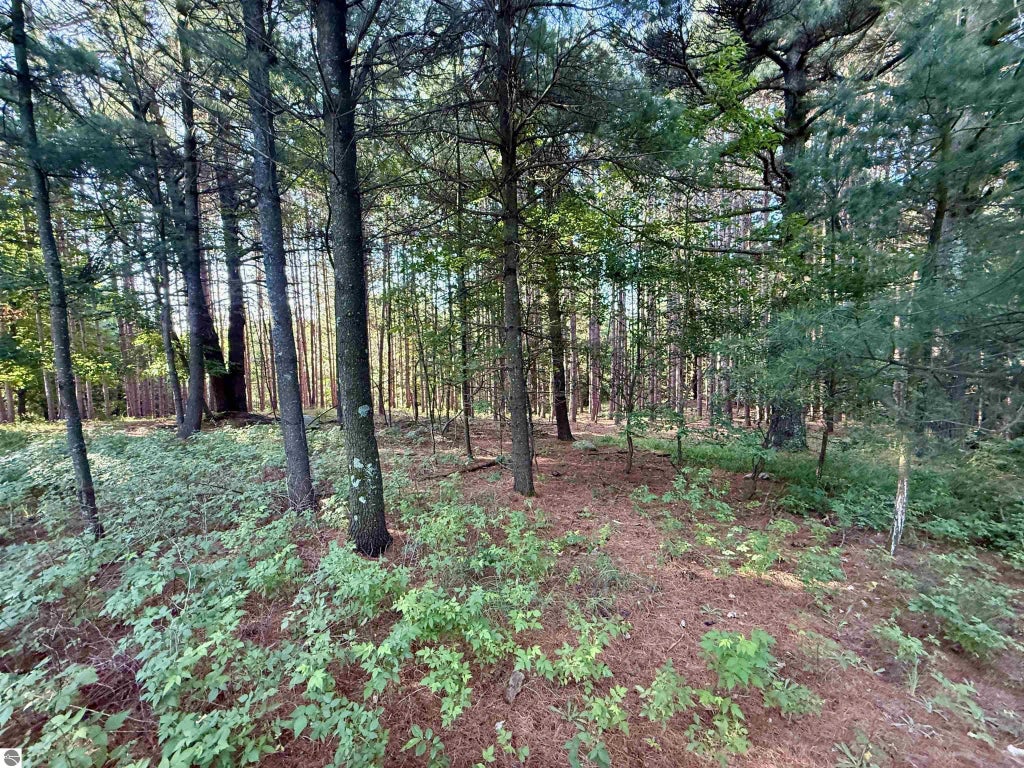 015 S Westview Drive, Empire