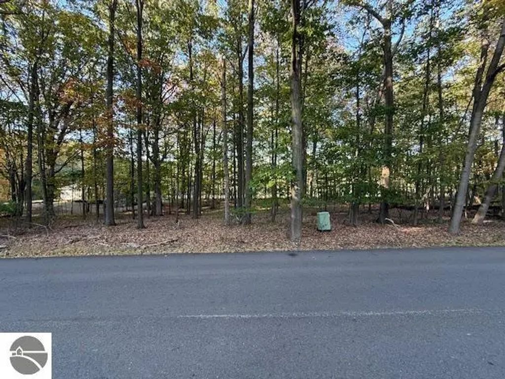 Tbd Hiawatha Drive, Mt Pleasant