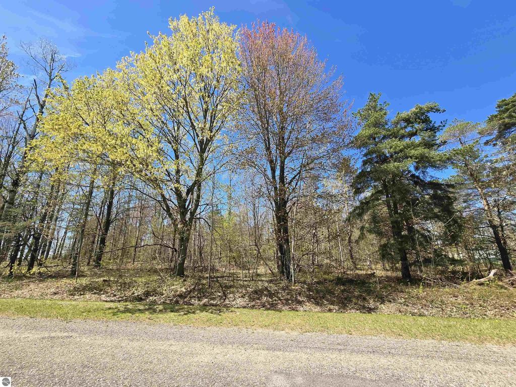 235 Country Club Drive, Mancelona