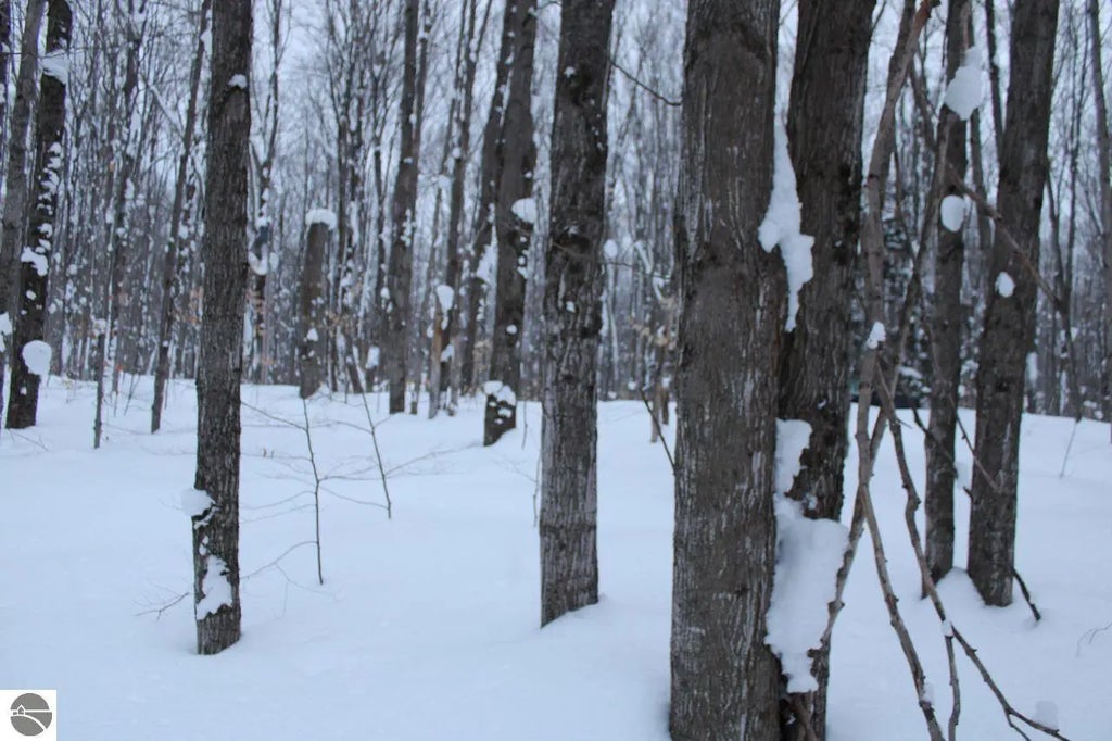 6583 Ne Boulder Lane, Mancelona