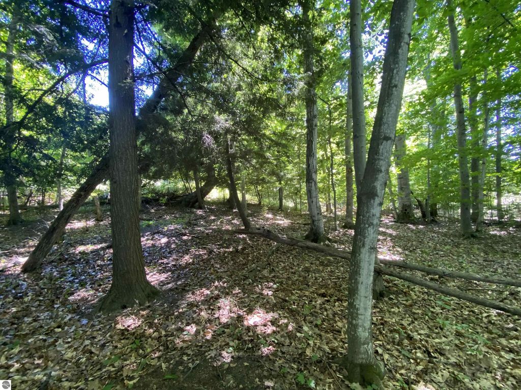 Lot 9 S Club Drive, Cedar