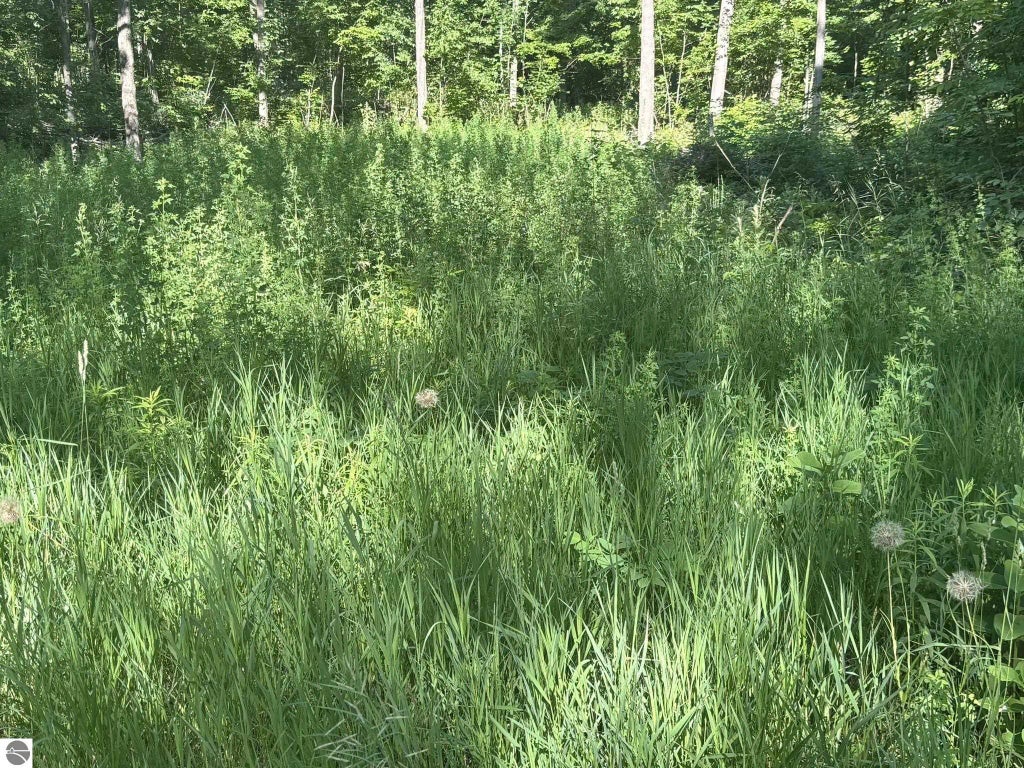 Vl Forward, Lake City