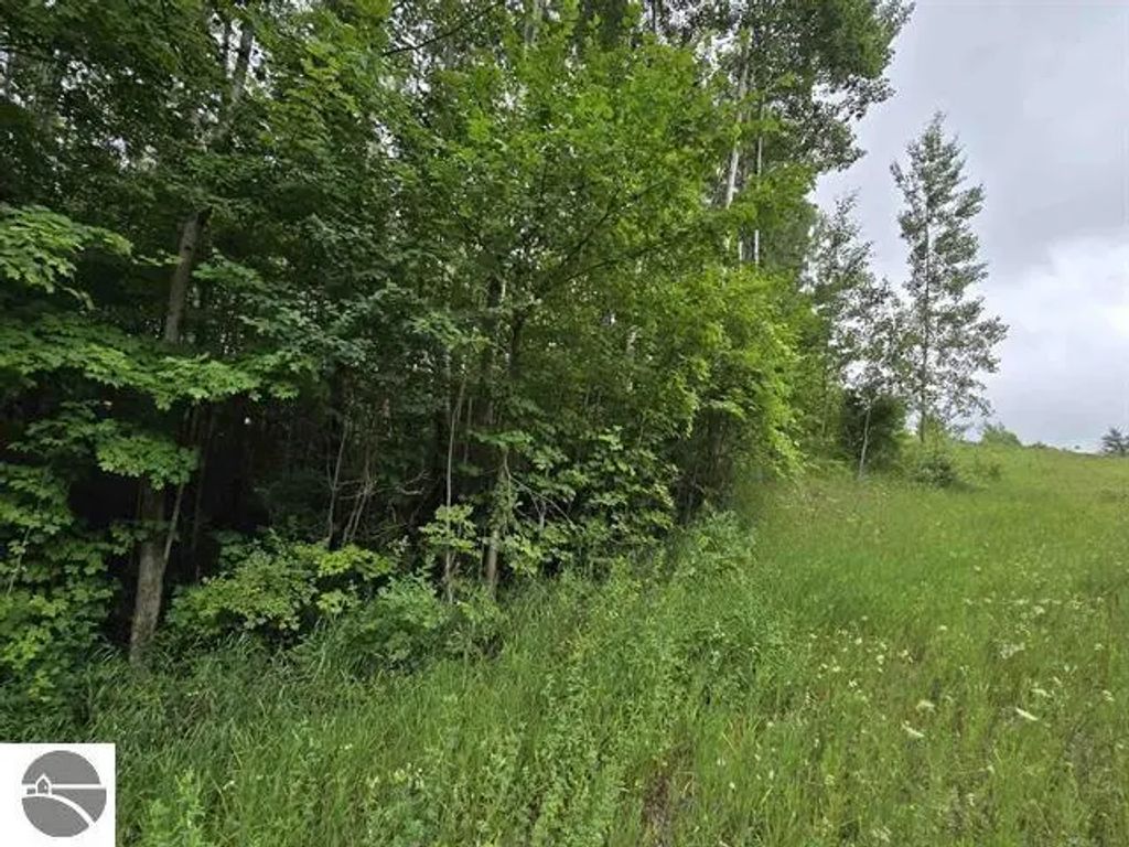 N 9 Road, Mesick