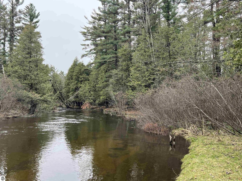 14628 Club Circle, Grayling