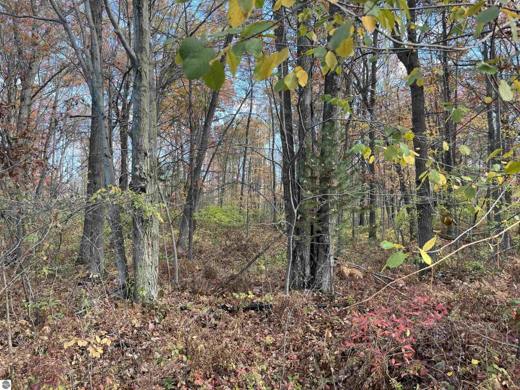 Nka Husak Road, Omer