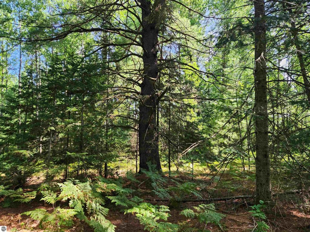 10 Acres Christie Drive, Kalkaska
