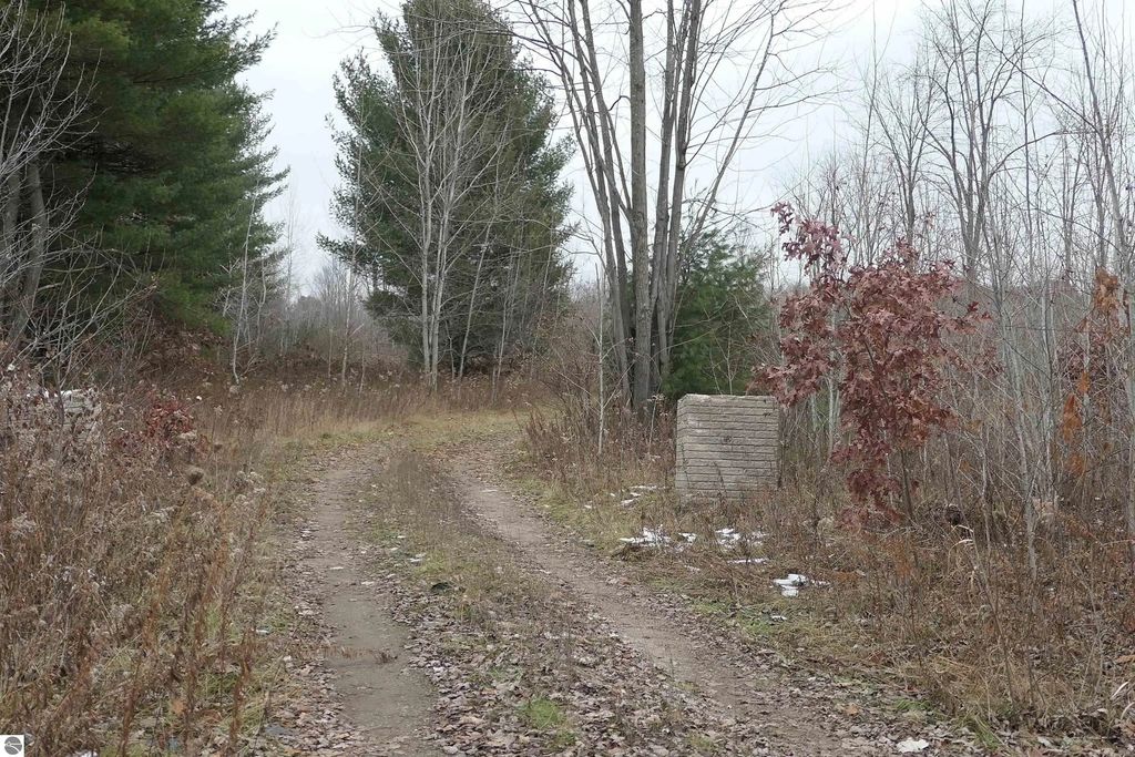 Tbd E Pickard Road, Mt Pleasant