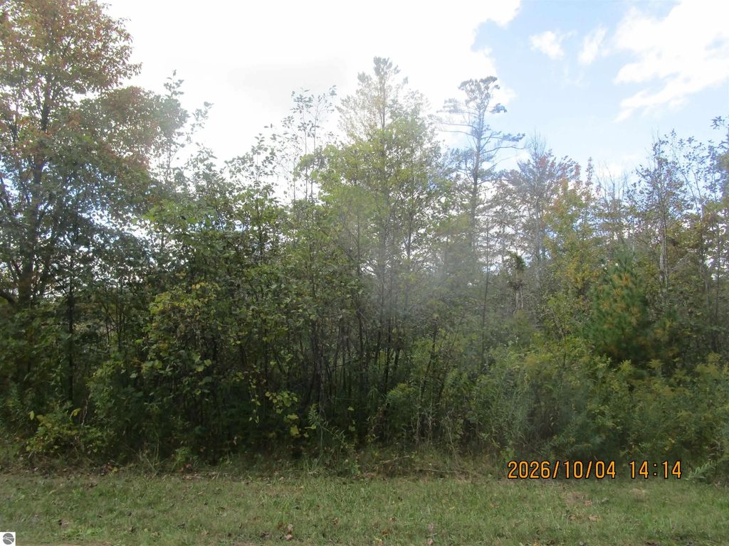 Ausable Point Road, East Tawas