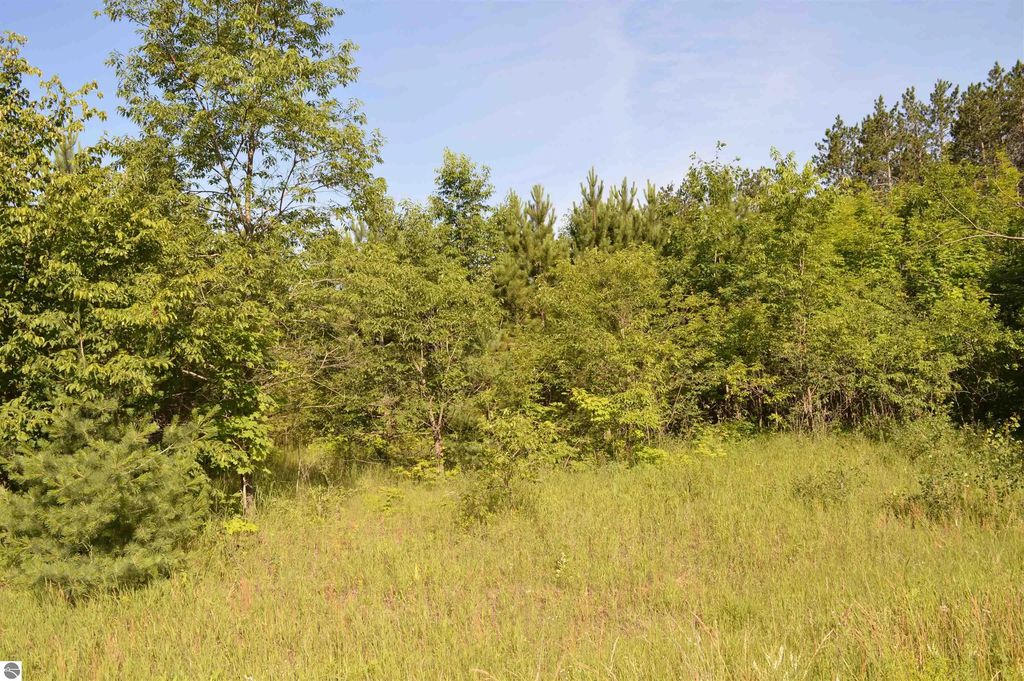 Ne Holly Road, Kalkaska